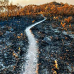 New Study Confirms 1972 MIT Study That Collapse Of Civilization Is Imminent