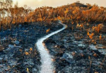 New Study Confirms 1972 MIT Study That Collapse Of Civilization Is Imminent