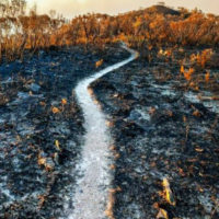 New Study Confirms 1972 MIT Study That Collapse Of Civilization Is Imminent