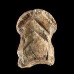 Is This 51,000-Year-Old Giant Deer Bone Carving Art?