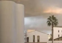 What’s Going On With High-Profile ‘Restructuring’ In Barcelona’s MACBA?