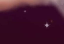 In Praise Of Celebrity Memoirs