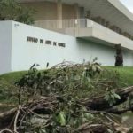 How Museums Are Responding To Climate Change