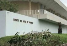 How Museums Are Responding To Climate Change