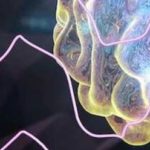 Would Extinction Be Such A Bad Thing?