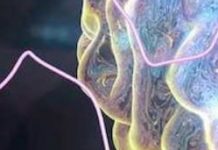 Would Extinction Be Such A Bad Thing?