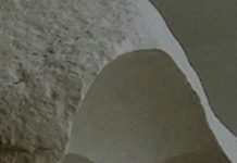 What Do Students Need To Know?