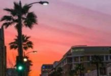 Bret Easton Ellis’ Unconventional Podcast Model