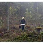 Famous Writers Writing Books That Won’t Be Read For 100 Years