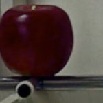 The Difficulty Of Organizing University Professors