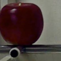 The Difficulty Of Organizing University Professors