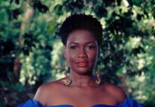 The Show ‘Ted Lasso’ Needed Sarah Niles