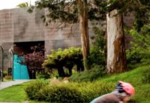 As Golden Gate Park Enacts A Car Ban, Its Museums Stress Out