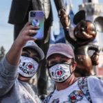 The Recovery Of The Mouse