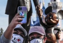 The Recovery Of The Mouse