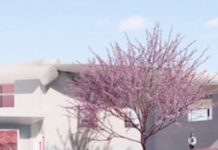 The New Children’s Literature Museum Inspired By Kiki’s Delivery Service