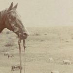 Westerns Have Nearly Unbounded Literary Potential