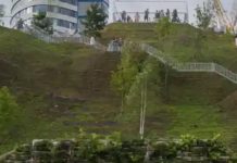 Who In Their Right Minds Would Pay 8 British Pounds To Climb A Cruddy Mound With Scraggly Trees On It?