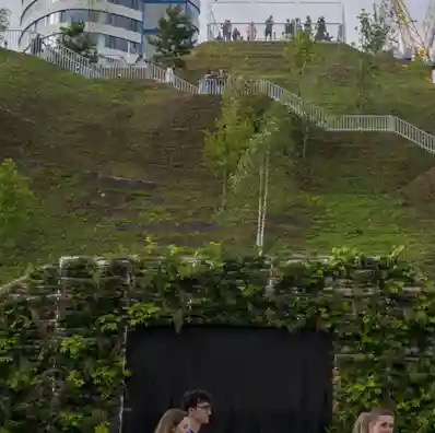 Who In Their Right Minds Would Pay 8 British Pounds To Climb A Cruddy Mound With Scraggly Trees On It?