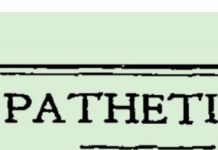 When The NYT Book Review Minced Few Words