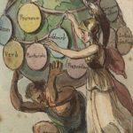 Why Does English Have No Equivalent Of The Académie Française? Pestilence