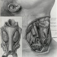 This One Weird Trick Changed Medical Illustration Forever