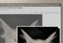 How Social Media Has Ruined Art?