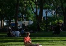 Study: Crowd-Sourced Fact-Checking Is Pretty Accurate