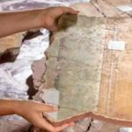 2021.09.07-09_18_10-‘It’s exactly like a puzzle’_ experts on piecing together Roman fresco find _ France _ The Guardian