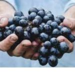 Is Making Wine Making Art?