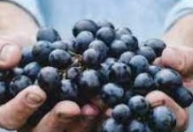 Is Making Wine Making Art?