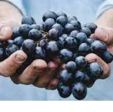 Is Making Wine Making Art?
