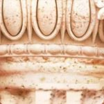 “Culture Wars” Are The Wrong Frame For Where We Are Now