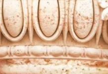 “Culture Wars” Are The Wrong Frame For Where We Are Now