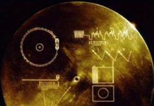 Why Bach Is So Compelling