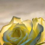 The Problem With Music About 9/11