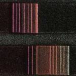 No, Not All Judgments Or Opinions Are Equal