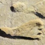 Newly Discovered Fossil Footprints Suggest Humans Were in North America 21,000 Years Ago