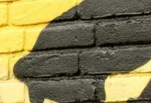 That Punk Beethoven?