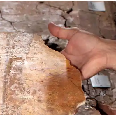 Piecing Together Roman Frescoes From French Ruins
