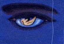 A College Honors Class Turned Its Zoom Fan Fiction Into A Film Deal