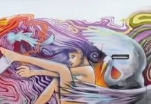 Idled By The Pandemic, An Airplane Becomes A Canvas