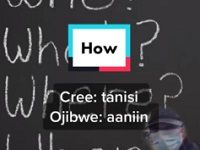 Preserving The Cree And Ojibwe Languages — With TikTok
