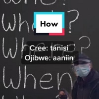 Preserving The Cree And Ojibwe Languages — With TikTok