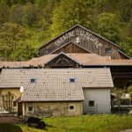 Professional Theatre Deep In A French Mountain Forest