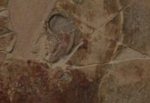 The Classics Versus Racism