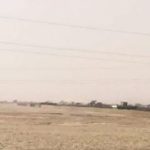 How TikTok Is Spreading Learning Of Indigenous Languages