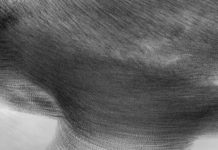 Capturing The Movement Of Starlings As Art