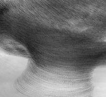 Capturing The Movement Of Starlings As Art