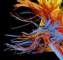 How Your Brain Constructs You
